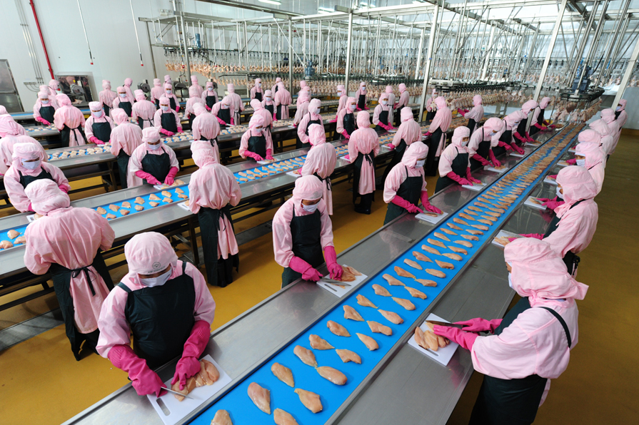 [xkldquocte] Xuẩt khẩu lao động Nhật Bản - Tuyển 40 nữ đi đơn hàng chế biến thịt gà quay tại Aomori - Nhật Bản 2019