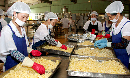 [xkldquocte] Xuẩt khẩu lao động Nhật Bản - Tuyển 80 nam nữ đóng gói cơm hộp tại CHIBA - Nhật Bản 2019