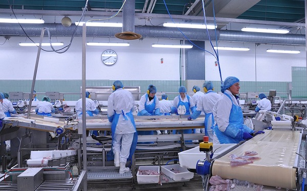 [xkldquocte] Xuẩt khẩu lao động Đài Loan - Tuyển 10 nữ đóng gói thịt gà tại nhà máy Khải Hinh - Đài Loan
